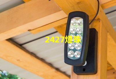 2427燈珠