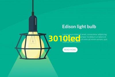 3010led