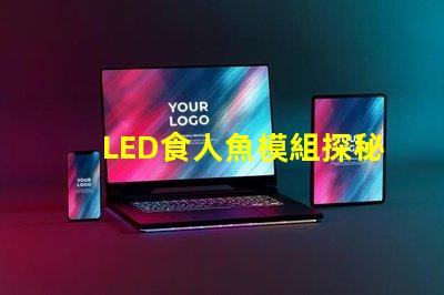 LED食人魚模組探秘新型LED食人魚模組的優勢與應用