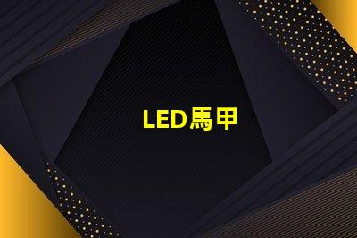 LED馬甲