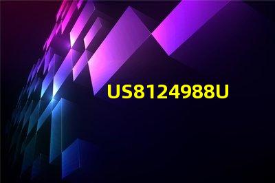 US8124988US8124988B2專B2利權威審查標準揭秘專利權威審查標準詳解