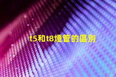 t5和t8燈管的區別深入分析兩者性能與適用場景