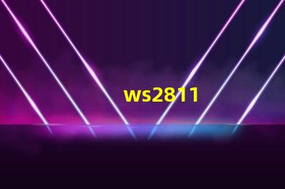 ws2811