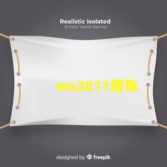 ws2811燈珠