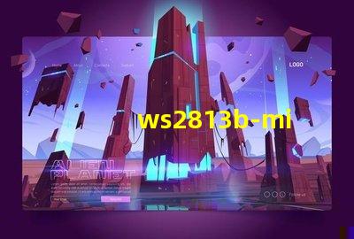 ws2813b-mini