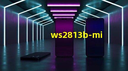 ws2813b-mini燈珠