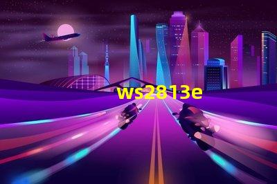 ws2813e