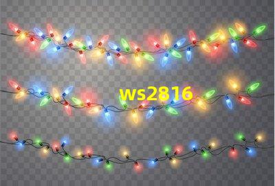 ws2816