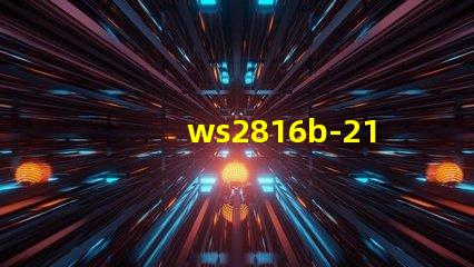 ws2816b-2121