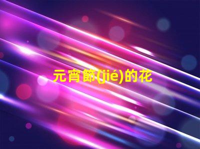 元宵節(jié)的花燈有什么樣的探索元宵節(jié)花燈多樣性的秘密