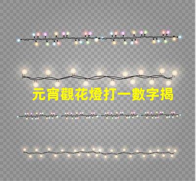 元宵觀花燈打一數字揭秘元宵節數字謎底的趣味游戲
