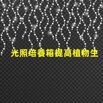 光照培養箱提高植物生長效率的關鍵設備
