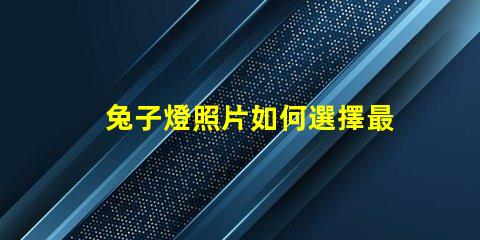 兔子燈照片如何選擇最適合您的兔子燈設計