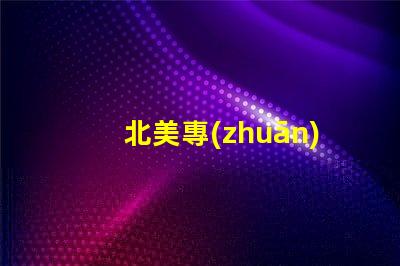 北美專(zhuān)利內(nèi)置ic燈珠