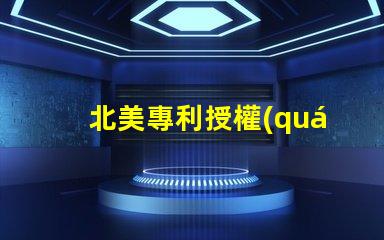 北美專利授權(quán)1010燈珠us8124988b2專利技術(shù)詳解