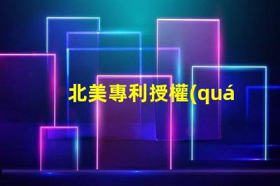 北美專利授權(quán)2121燈珠us8124988b2專利技術(shù)詳解,為何備受行業(yè)青睞