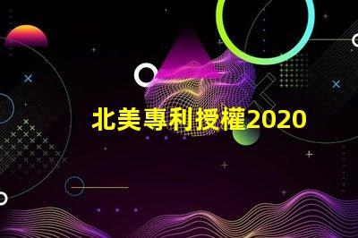 北美專利授權2020燈珠us8124988b2獨特技術解密