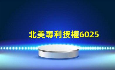 北美專利授權6025燈珠高效節能光源技術解密