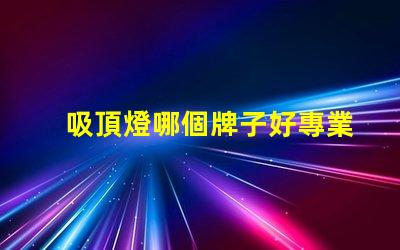 吸頂燈哪個牌子好專業評測的品牌推薦,助您挑選最佳選項