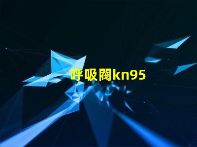 呼吸閥kn95