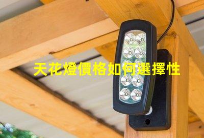 天花燈價格如何選擇性價比高的天花燈