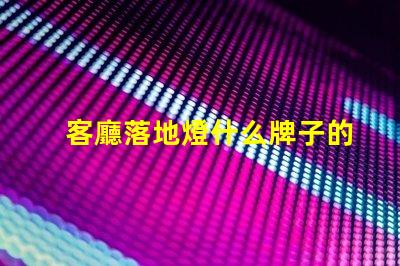 客廳落地燈什么牌子的好選購優質落地燈的實用指南