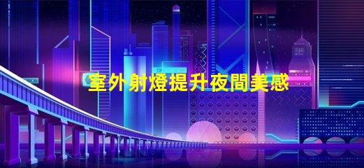 室外射燈提升夜間美感的照明解決方案