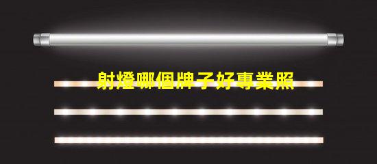 射燈哪個牌子好專業照明品牌推薦,助您挑選高品質射燈