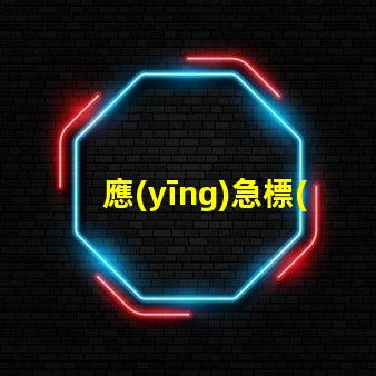 應(yīng)急標(biāo)志燈提升安全性的重要選擇