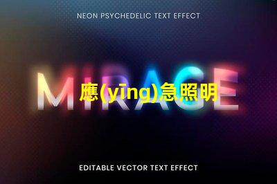應(yīng)急照明和疏散指示系統(tǒng)確保安全撤離的關(guān)鍵技術(shù)解析