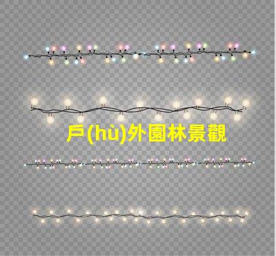 戶(hù)外園林景觀(guān)燈提升夜間美感的照明選擇