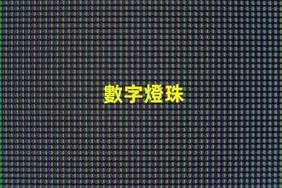 數字燈珠