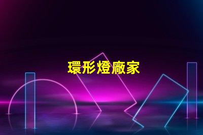 環形燈廠家