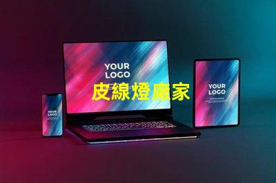 皮線燈廠家