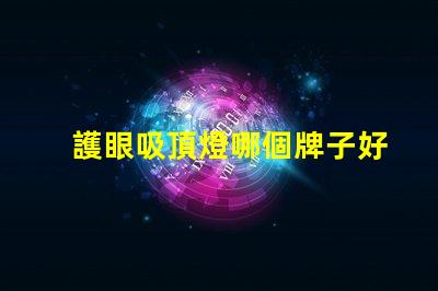 護眼吸頂燈哪個牌子好優質護眼燈具選擇指南