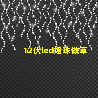 12伏led燈珠做草缸燈