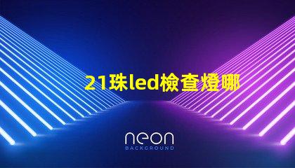 21珠led檢查燈哪家好