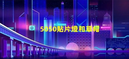 5050貼片燈和草帽燈哪個好
