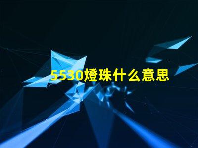 5530燈珠什么意思
