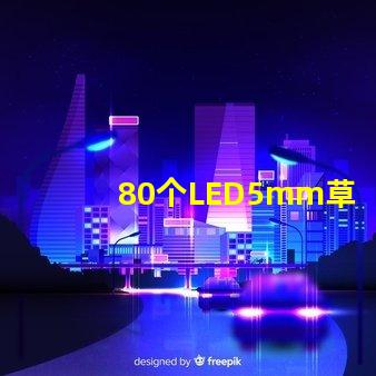 80個LED5mm草帽燈珠配多大驅動器？