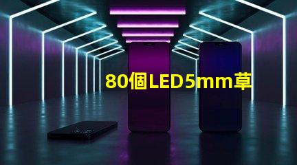80個LED5mm草帽燈珠配多大驅動器？