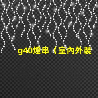 g40燈串（室內外裝飾必備）
