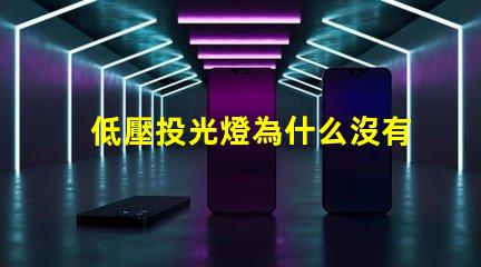 低壓投光燈為什么沒有燈珠
