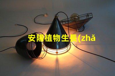 安陽植物生長(zhǎng)燈led燈珠