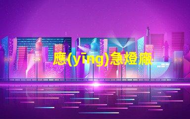應(yīng)急燈廠家（如何選擇可靠的應(yīng)急燈廠家）