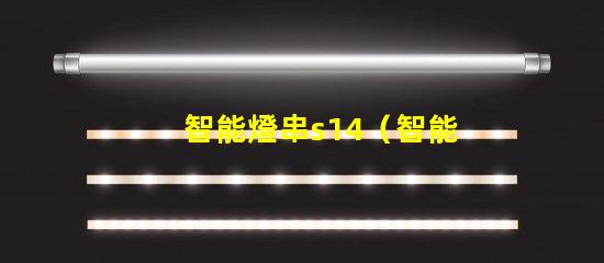智能燈串s14（智能燈串s14的功能及使用方法）