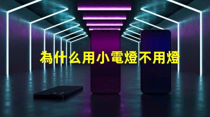 為什么用小電燈不用燈珠