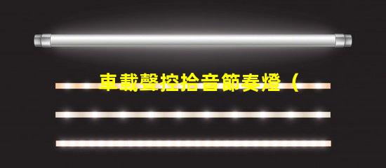 車載聲控拾音節奏燈（為車內音樂增添舞動燈光效果）